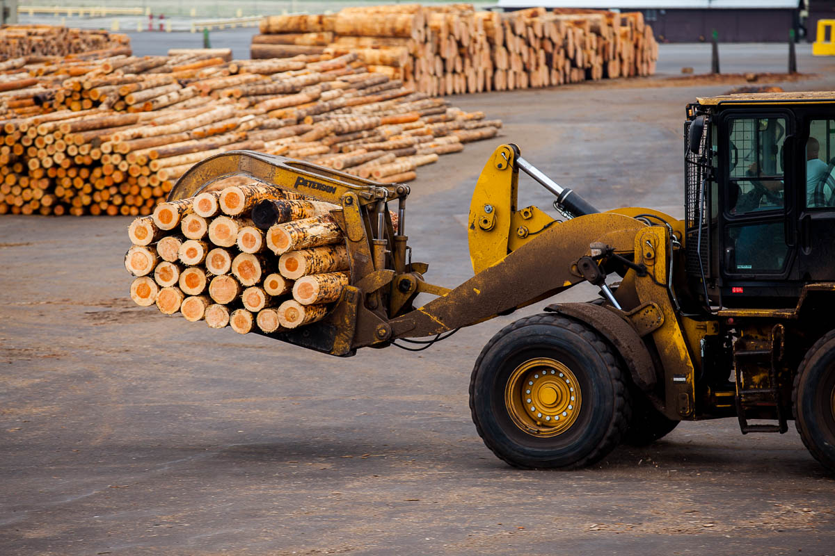 White City log yard reaches momentous milestone Boise Cascade