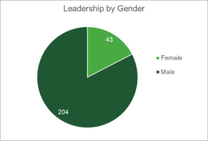 graph of gender diversity demographics in leadership at Boise Cascade
