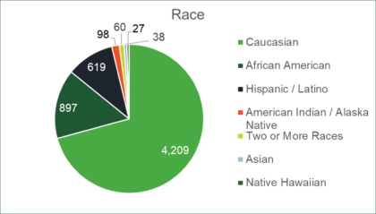 graph of race diversity demographics at Boise Cascade